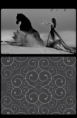 Wild friesian- All in one